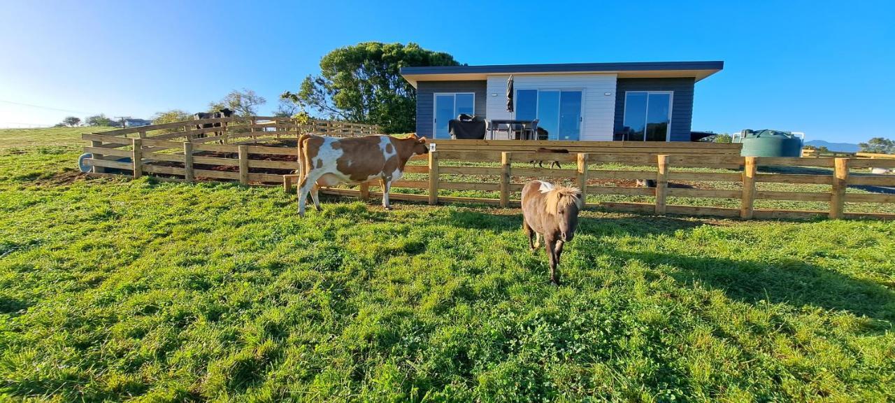 Country Comfort - Only 10 Minutes From Hamilton Cbd 외부 사진