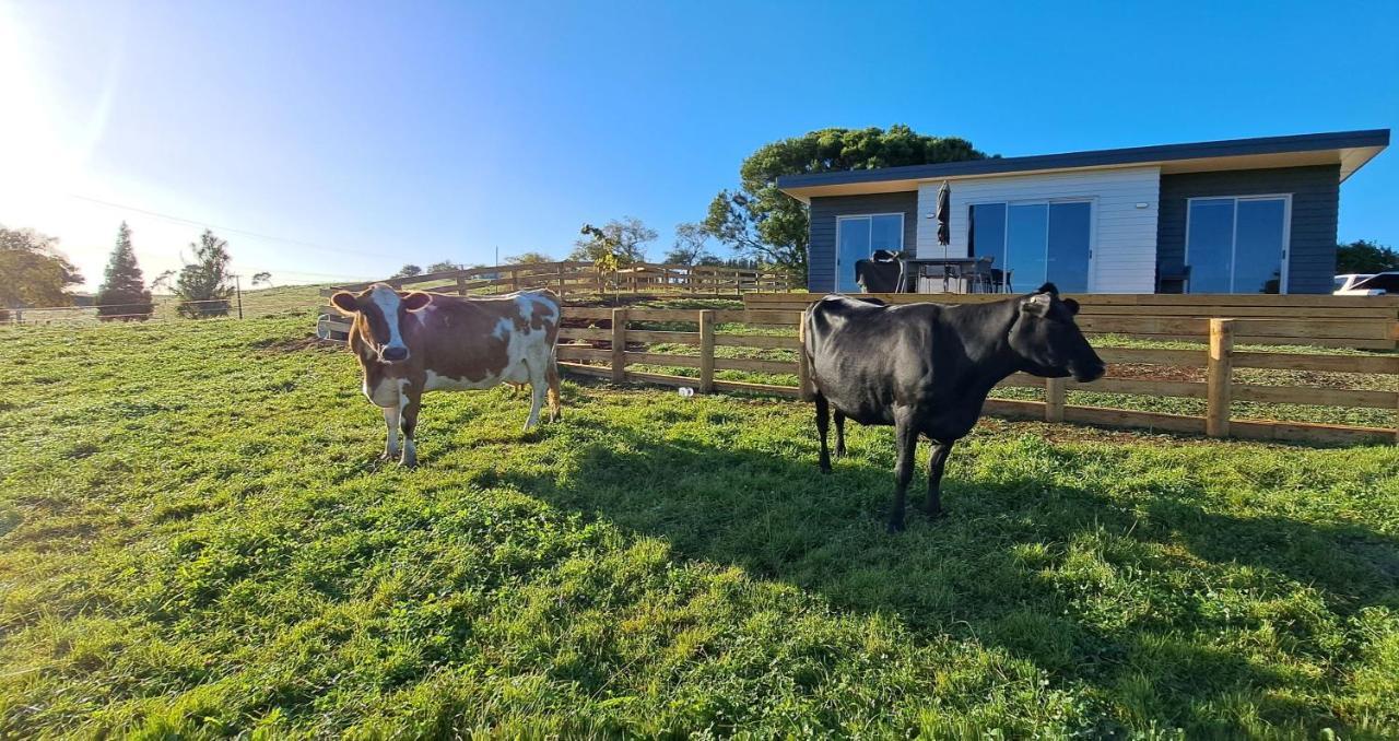 Country Comfort - Only 10 Minutes From Hamilton Cbd 외부 사진