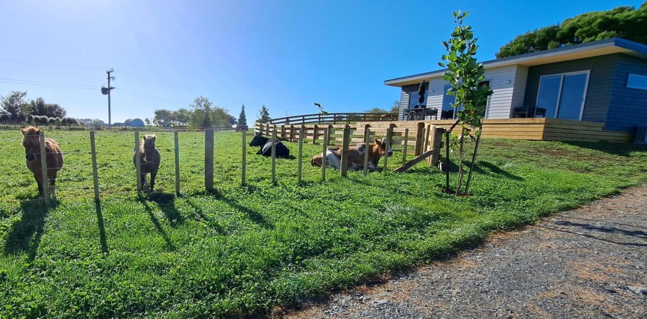 Country Comfort - Only 10 Minutes From Hamilton Cbd 외부 사진
