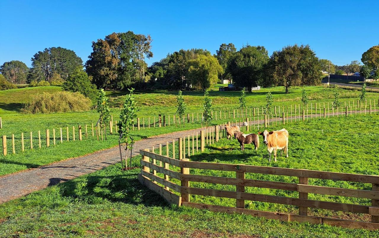Country Comfort - Only 10 Minutes From Hamilton Cbd 외부 사진